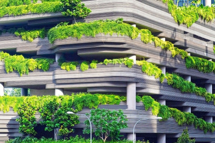 Végétalisation des villes : un concept grandissant