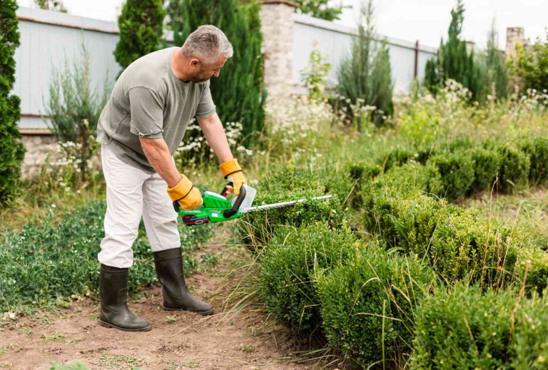 Comment entretenir les espaces verts de votre commune ?