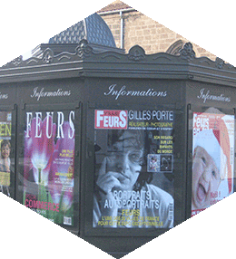 Customisable toilets